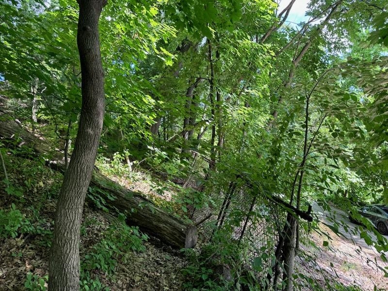 0 Huntress Street Manchester, NH 03102 - Photo 9 of 10