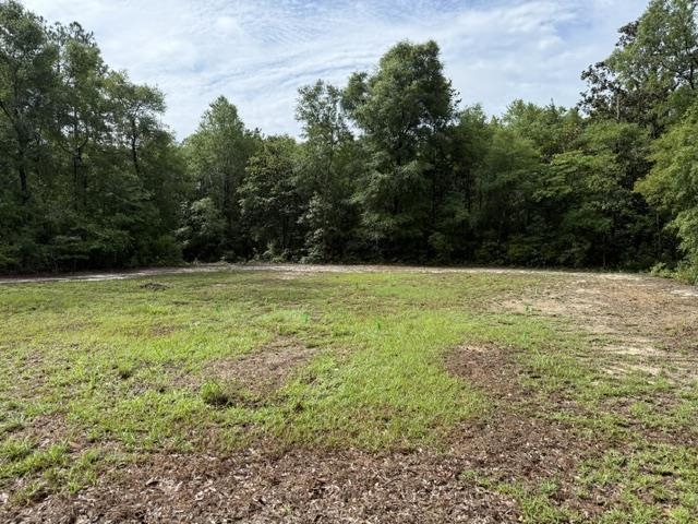 1904 Collins Landing Road Tallahassee, FL 32310 - Photo 29 of 34