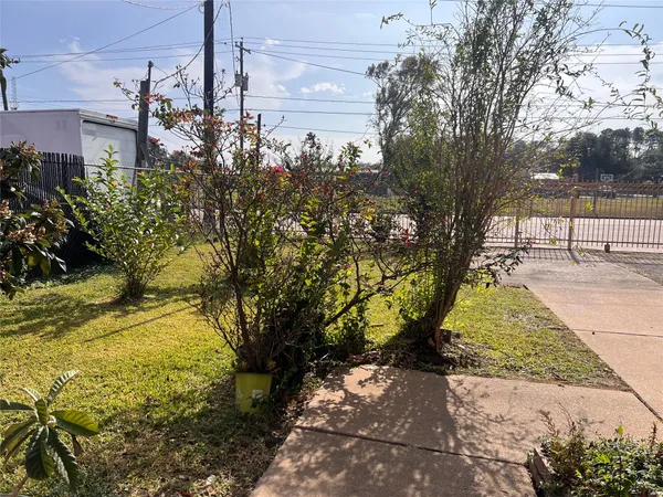 a view of yard