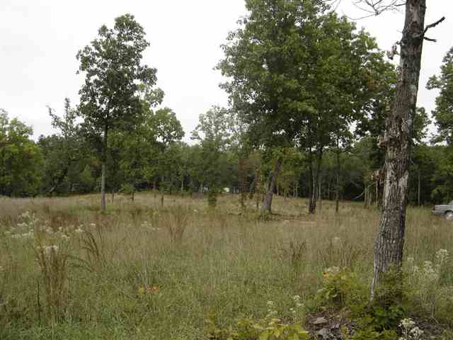 3981 Durbin Church Road Fountain Inn, SC 29644 - Photo 14 of 15
