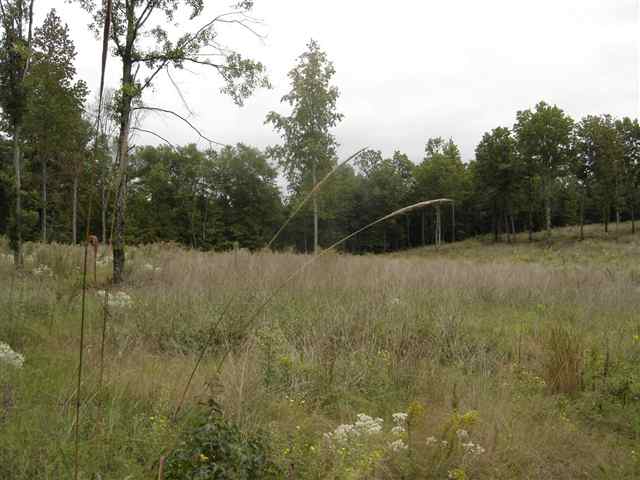 3981 Durbin Church Road Fountain Inn, SC 29644 - Photo 5 of 15