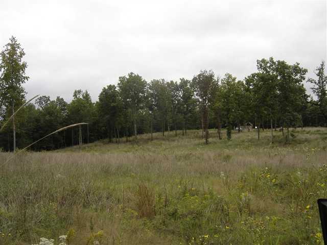 3981 Durbin Church Road Fountain Inn, SC 29644 - Photo 6 of 15