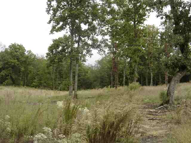 3981 Durbin Church Road Fountain Inn, SC 29644 - Photo 9 of 15