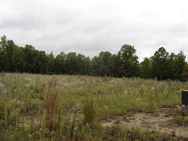 3981 Durbin Church Road Fountain Inn, SC 29644 - Photo 10 of 15