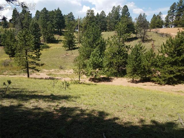 26 Southgate Road Florissant, CO 80816 - Photo 3 of 10 Gallery Image 3