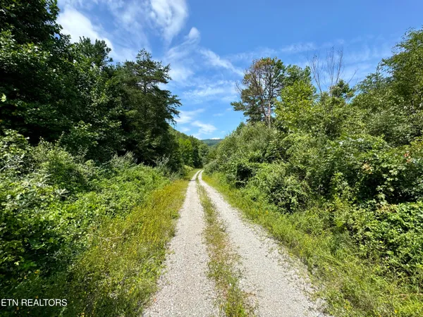 $8,225,000 | Westbourne Road, Duff, TN 37729