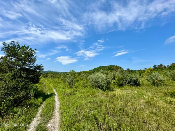 $8,225,000 | Westbourne Road, Duff, TN 37729