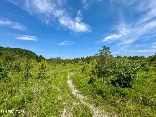 $8,225,000 | Westbourne Road, Duff, TN 37729