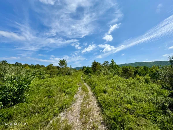 $8,225,000 | Westbourne Road, Duff, TN 37729