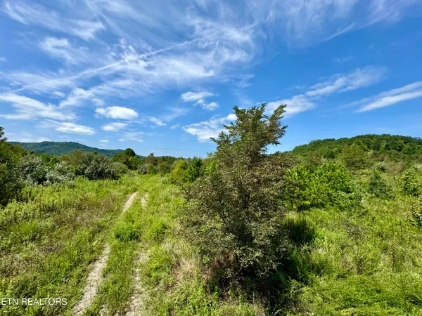 $8,225,000 | Westbourne Road, Duff, TN 37729