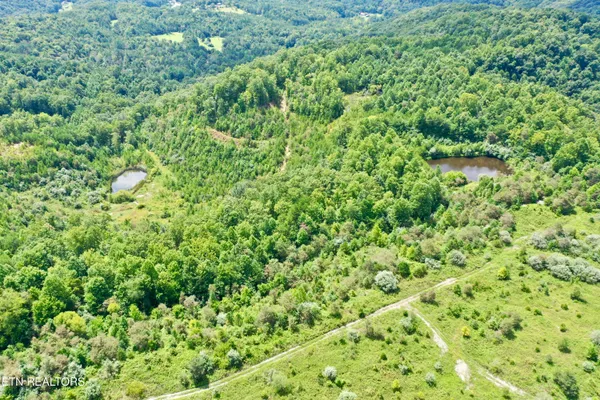 $8,225,000 | Westbourne Road, Duff, TN 37729