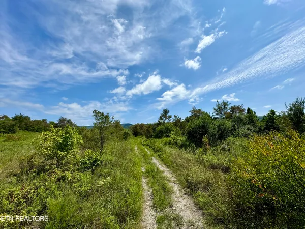 $8,225,000 | Westbourne Road, Duff, TN 37729