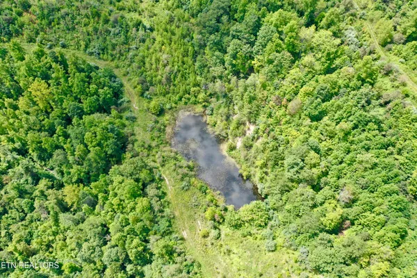$8,225,000 | Westbourne Road, Duff, TN 37729
