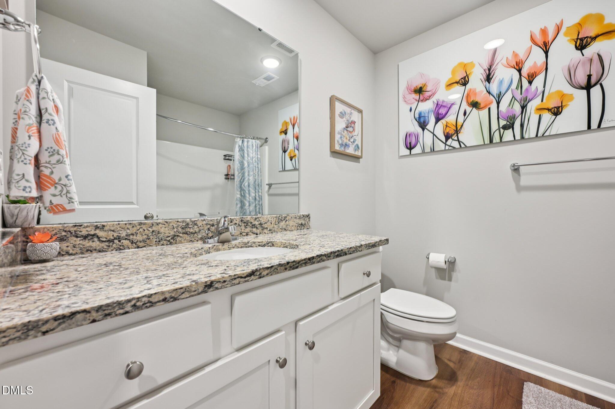 391 Byrdtown Road Benson, NC 27504 - Photo 18 of 28 a bathroom with a granite countertop sink and a toilet