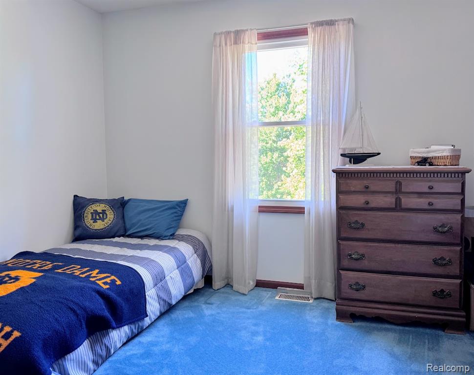 5324 Douglas Road Ida, MI 48140 - Photo 21 of 29