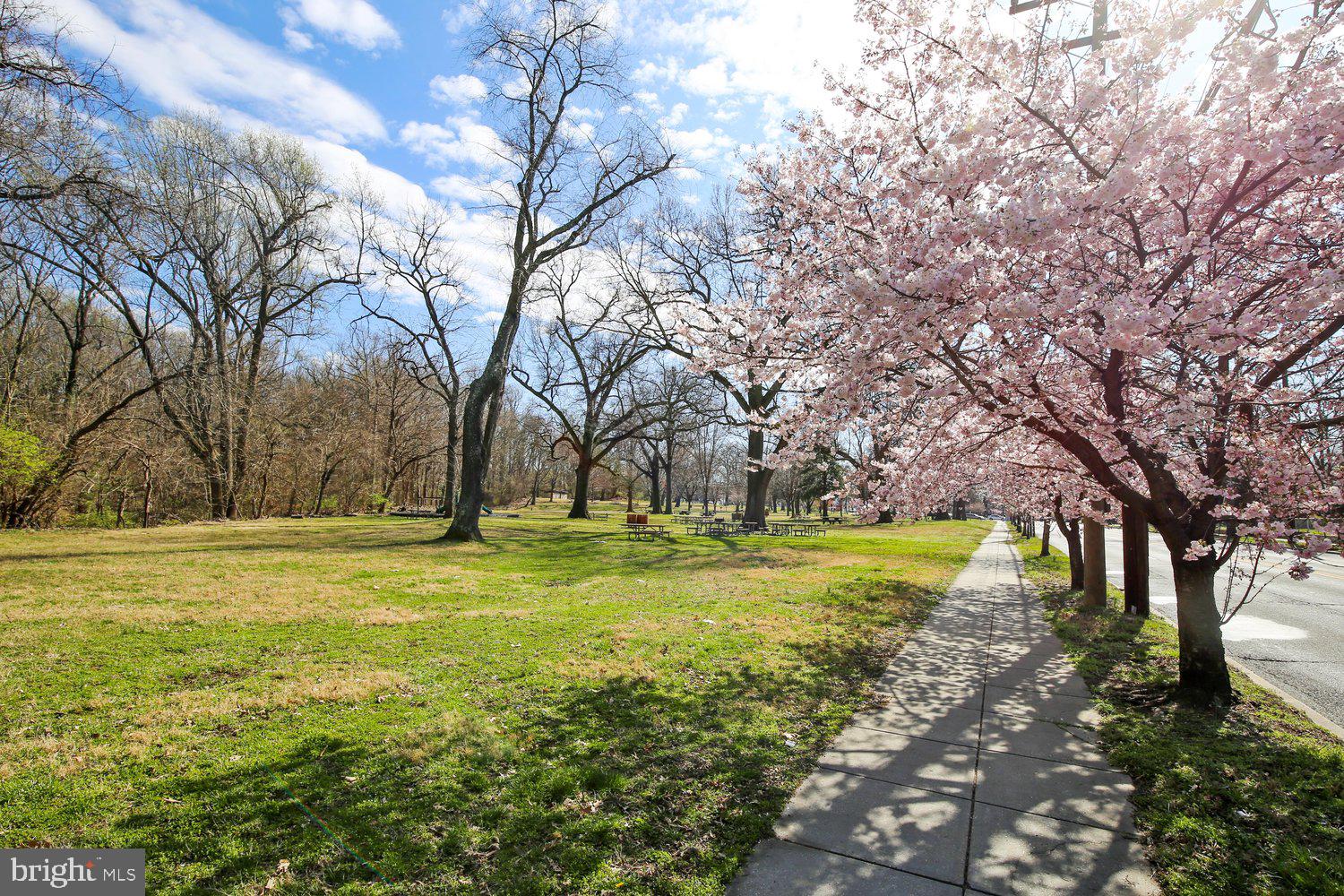 3922 Q Street Southeast Washington, DC 20020 - Photo 28 of 34 Fort Dupont Park