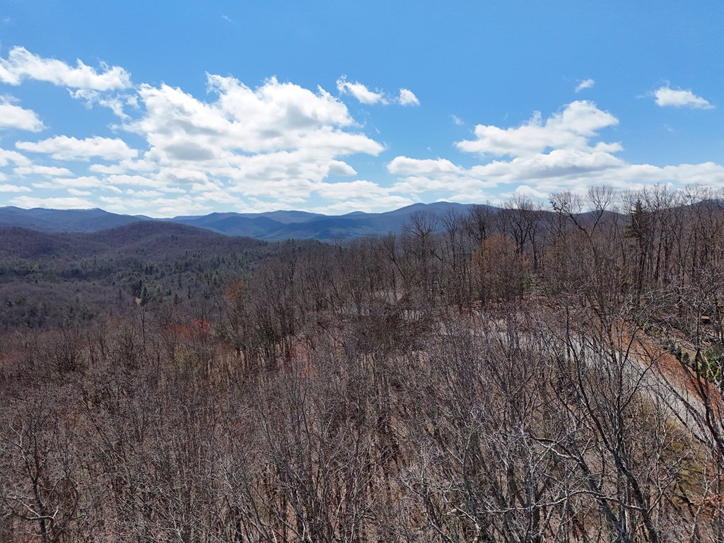 Lot 12 Native Trail Cherry Log, GA 30522 - Photo 3 of 14