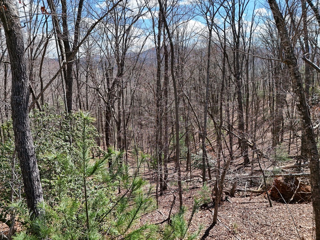 Lot 12 Native Trail Cherry Log, GA 30522 - Photo 4 of 14