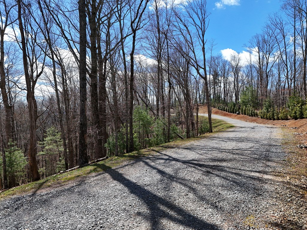 Lot 12 Native Trail Cherry Log, GA 30522 - Photo 6 of 14 lot on left going up the road