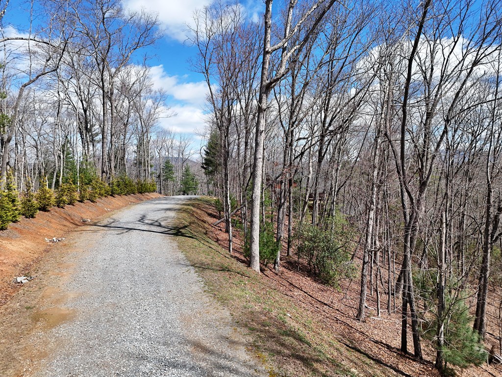 Lot 12 Native Trail Cherry Log, GA 30522 - Photo 7 of 14 Lot on right going down the road