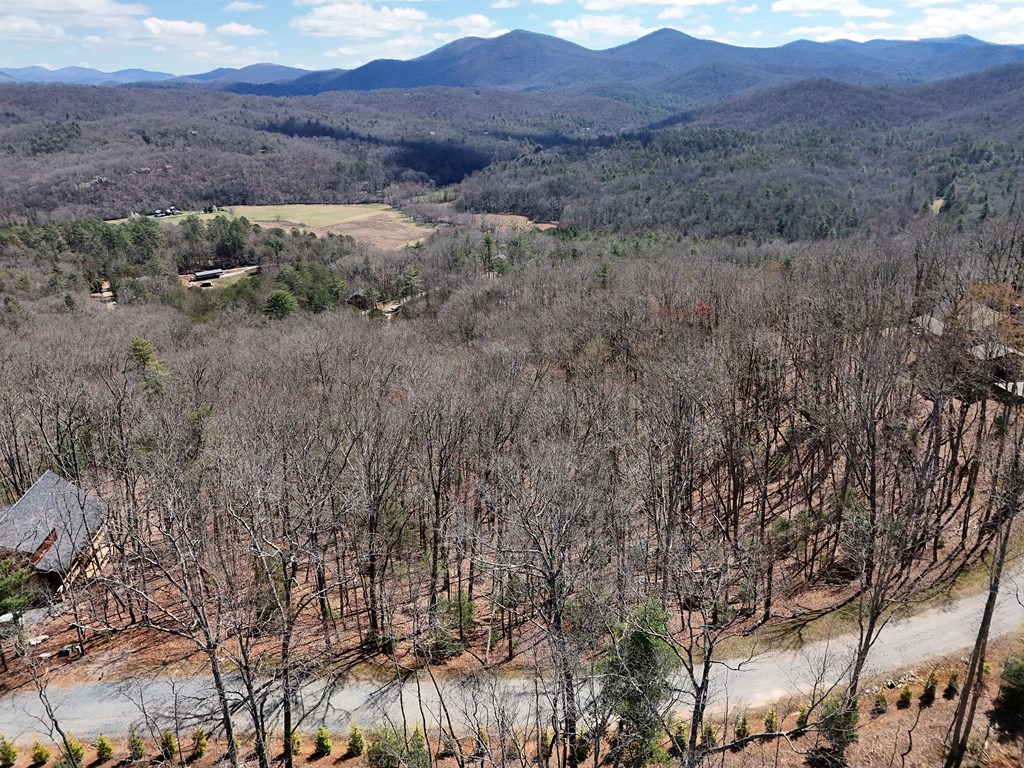 Lot 12 Native Trail Cherry Log, GA 30522 - Photo 8 of 14