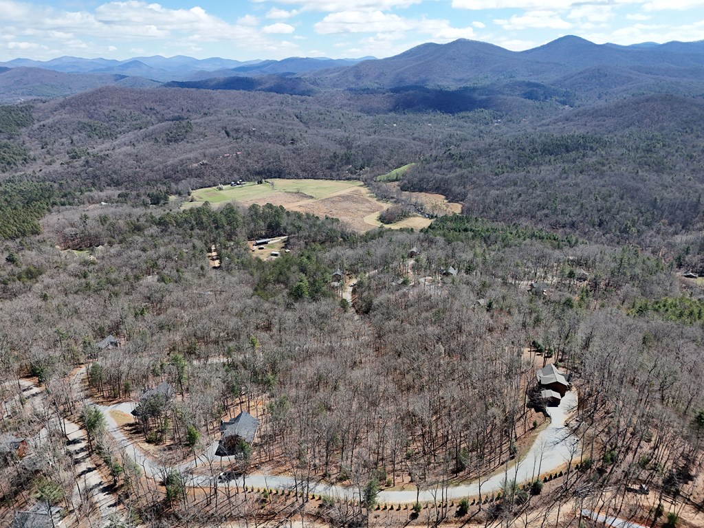 Lot 12 Native Trail Cherry Log, GA 30522 - Photo 9 of 14