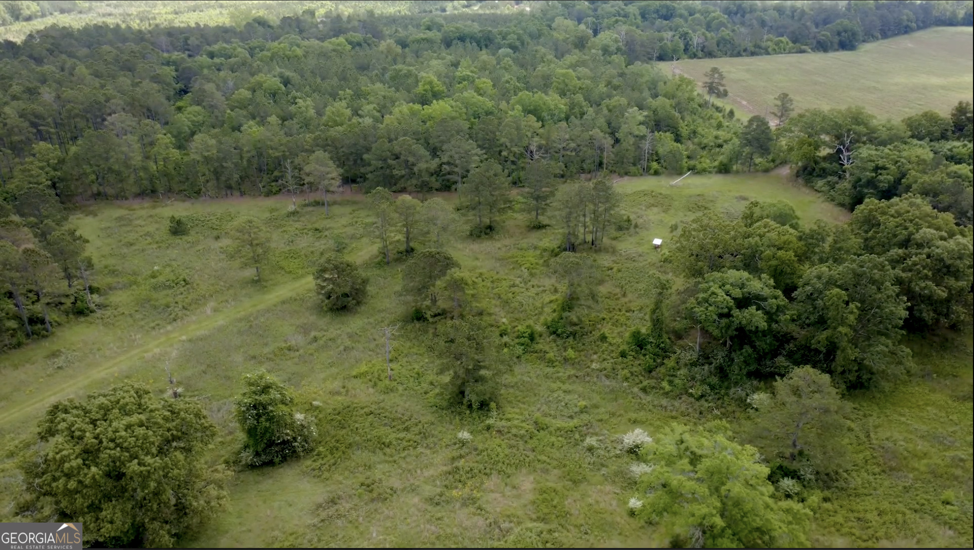 0 District Line Road Cuthbert, GA 39840 - Photo 12 of 26
