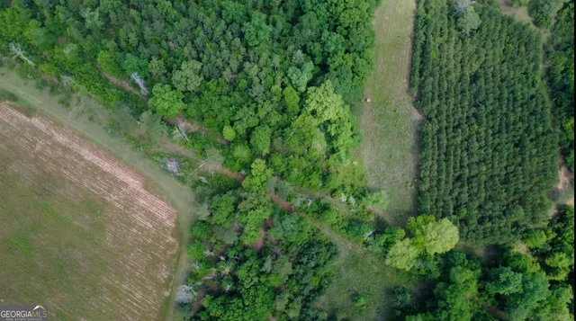 $339,900 | 0 District Line Road, Cuthbert, GA 39840