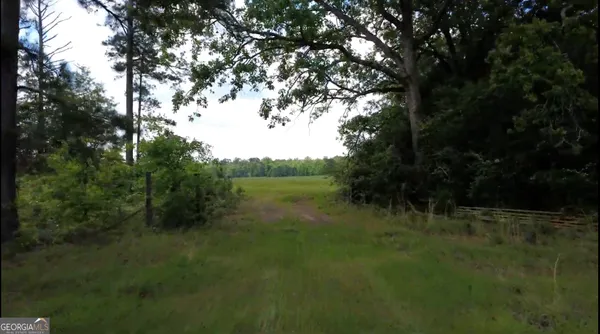 $339,900 | 0 District Line Road, Cuthbert, GA 39840