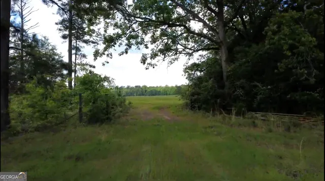 $339,900 | 0 District Line Road, Cuthbert, GA 39840