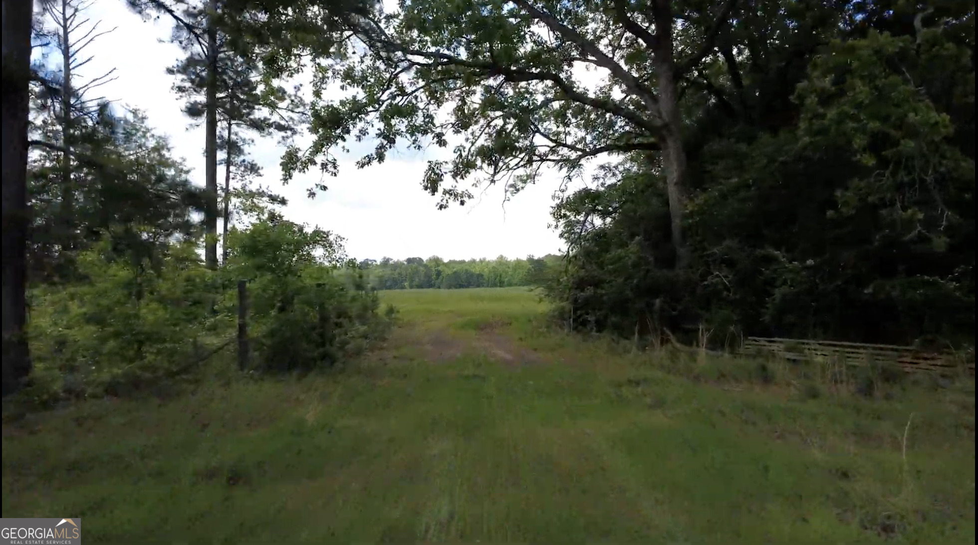 0 District Line Road Cuthbert, GA 39840 - Photo 15 of 26