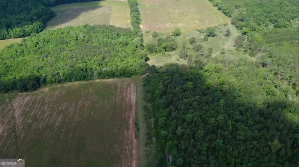 $339,900 | 0 District Line Road, Cuthbert, GA 39840