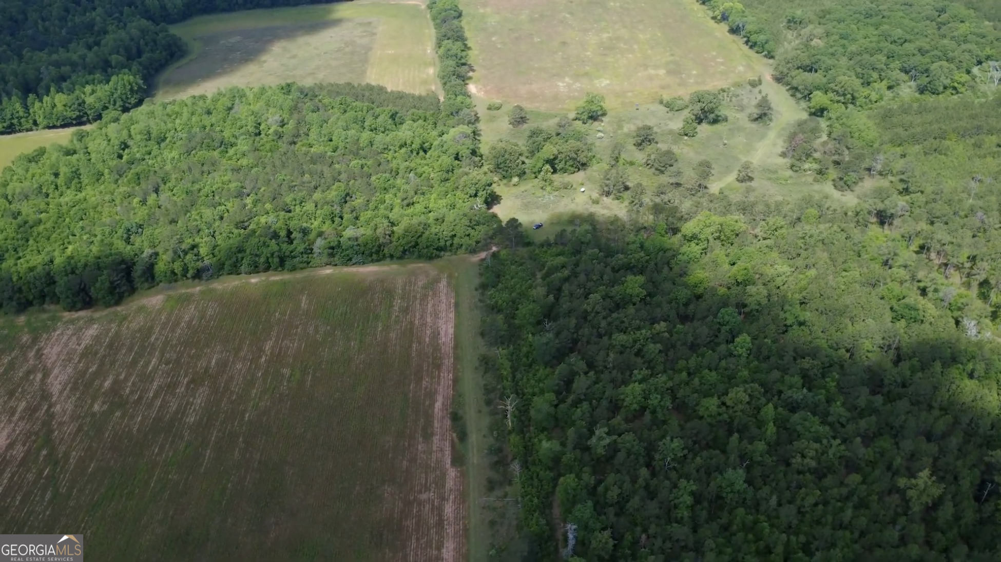 0 District Line Road Cuthbert, GA 39840 - Photo 16 of 26