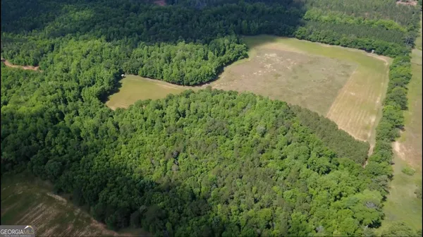 $339,900 | 0 District Line Road, Cuthbert, GA 39840