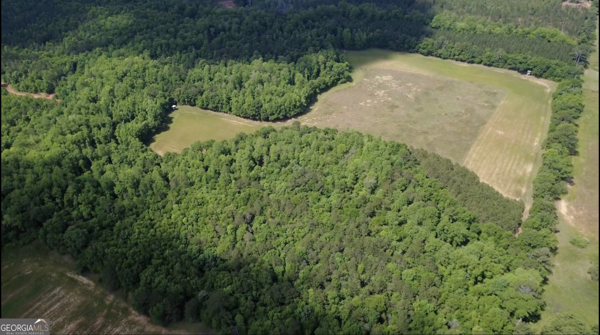 0 District Line Road Cuthbert, GA 39840 - Photo 17 of 26