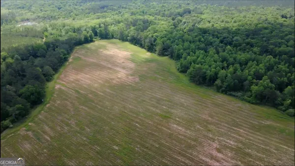 $339,900 | 0 District Line Road, Cuthbert, GA 39840