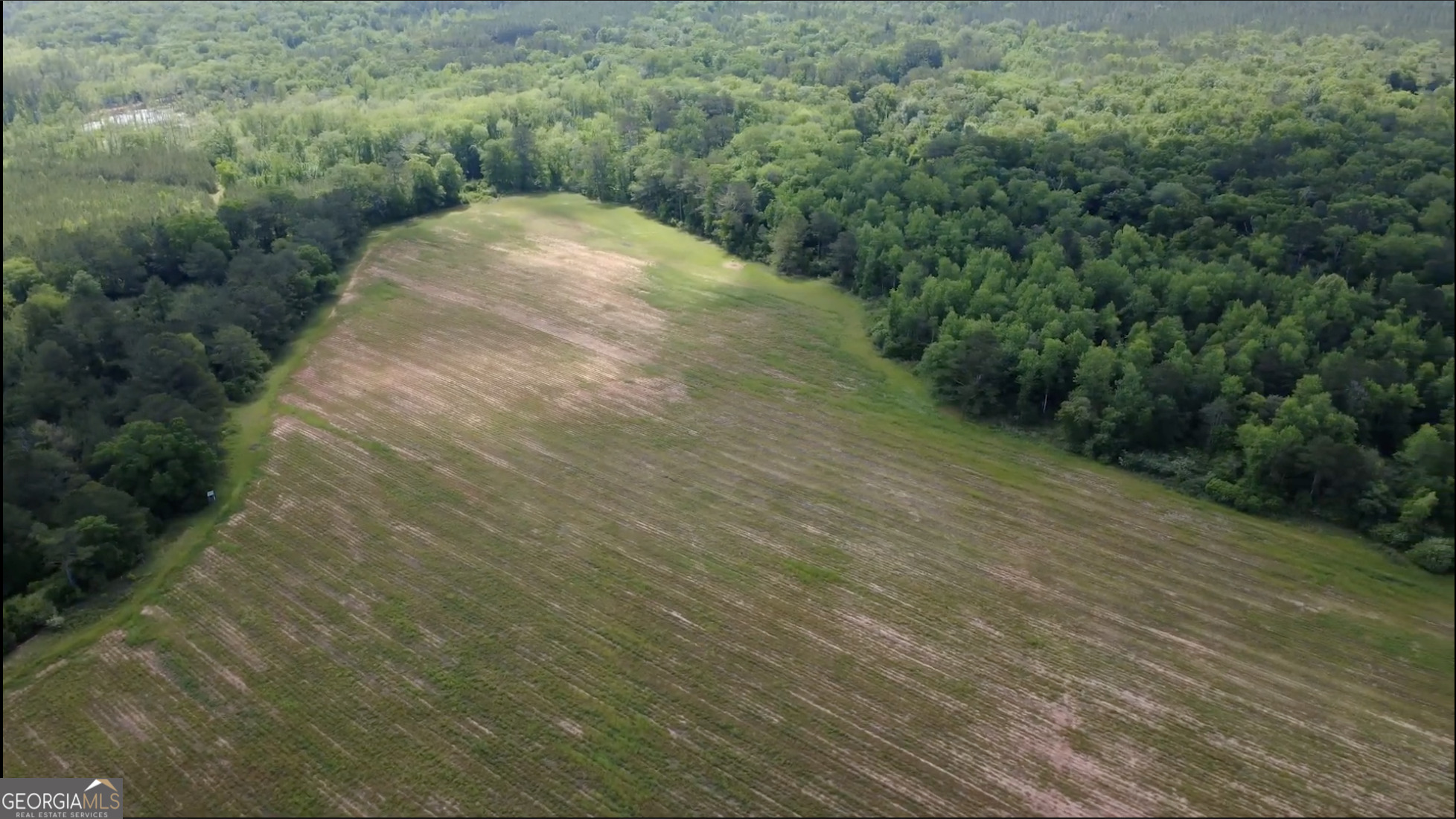 0 District Line Road Cuthbert, GA 39840 - Photo 18 of 26