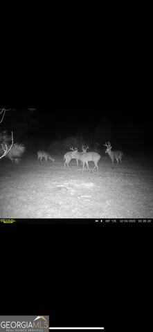 $339,900 | 0 District Line Road, Cuthbert, GA 39840