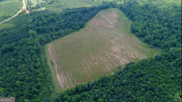 $339,900 | 0 District Line Road, Cuthbert, GA 39840