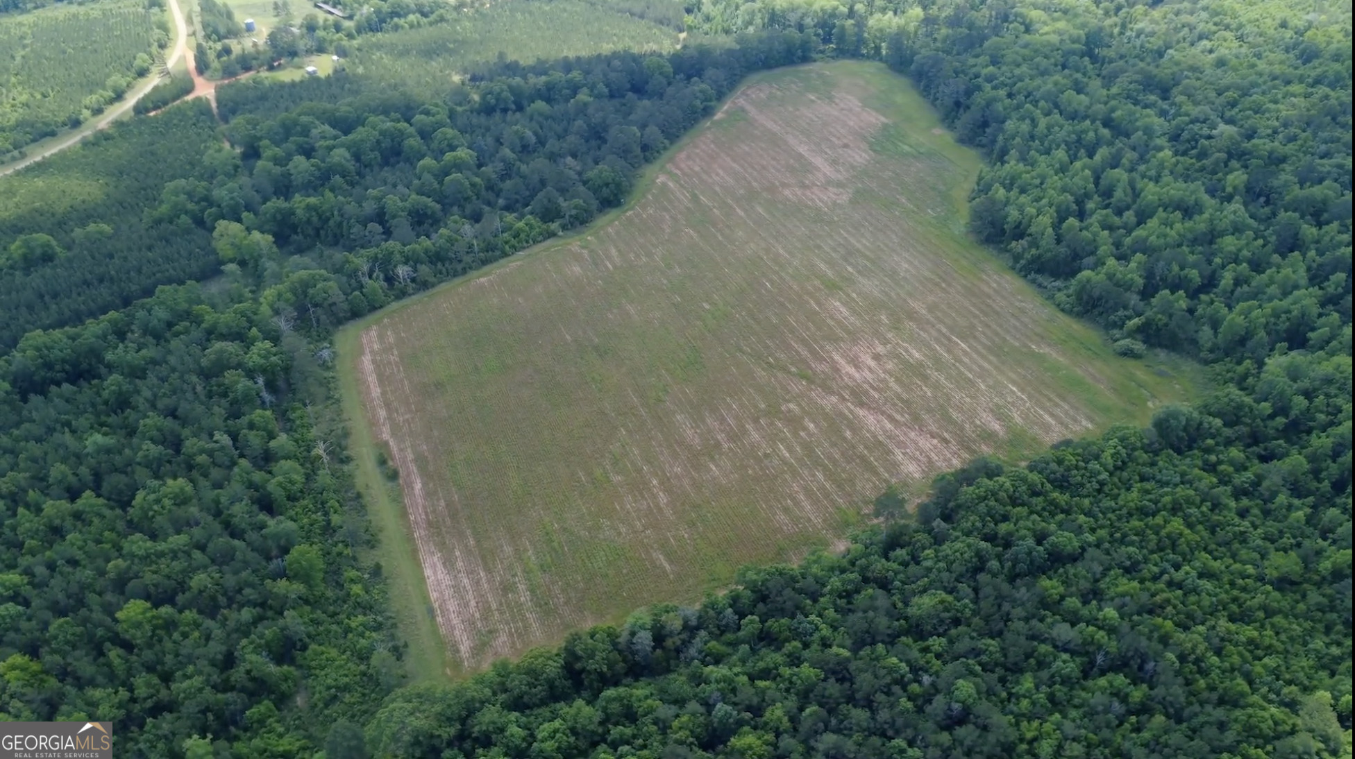 0 District Line Road Cuthbert, GA 39840 - Photo 20 of 26