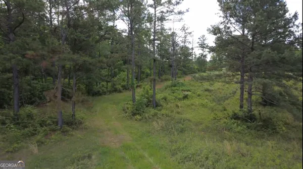 $339,900 | 0 District Line Road, Cuthbert, GA 39840