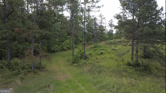 $339,900 | 0 District Line Road, Cuthbert, GA 39840