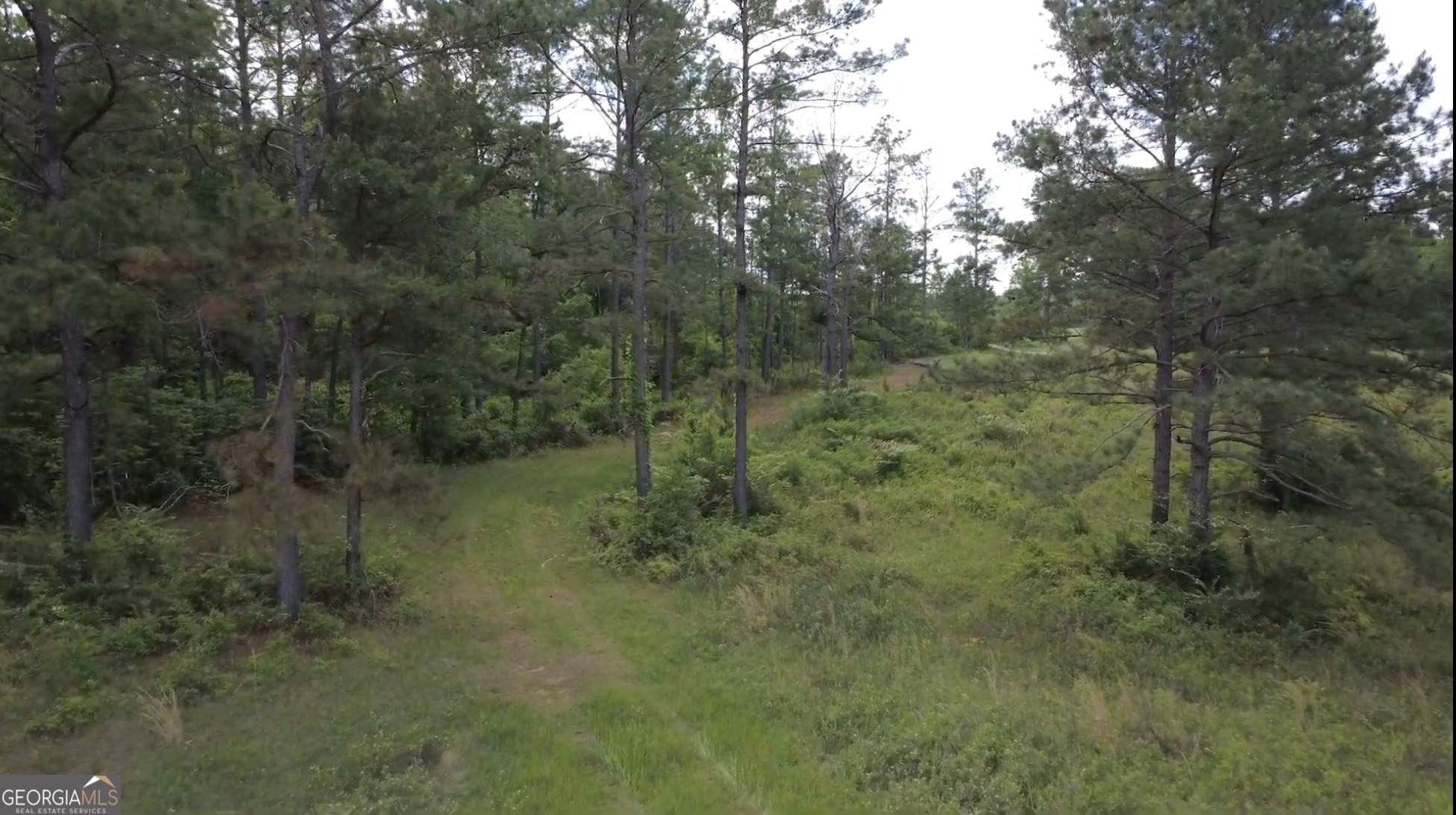 0 District Line Road Cuthbert, GA 39840 - Photo 2 of 26