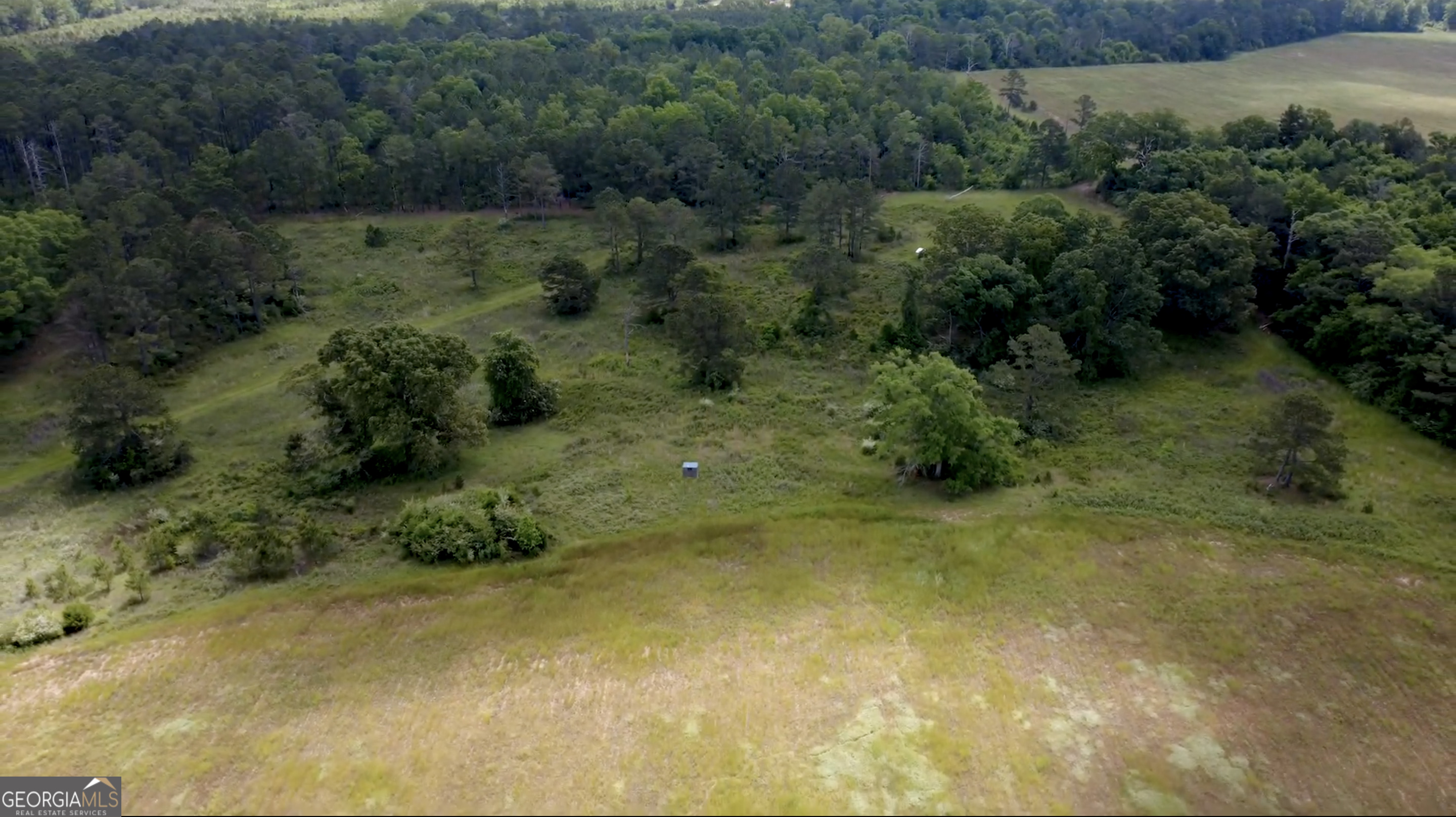 0 District Line Road Cuthbert, GA 39840 - Photo 21 of 26