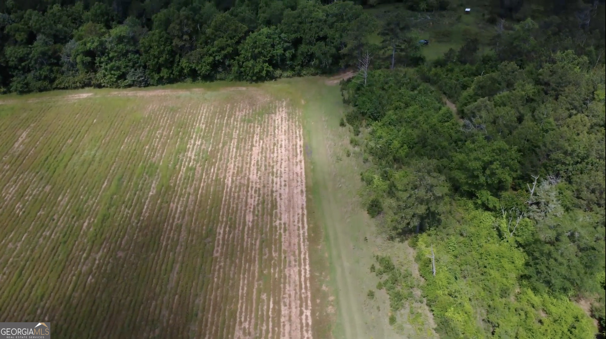 0 District Line Road Cuthbert, GA 39840 - Photo 22 of 26