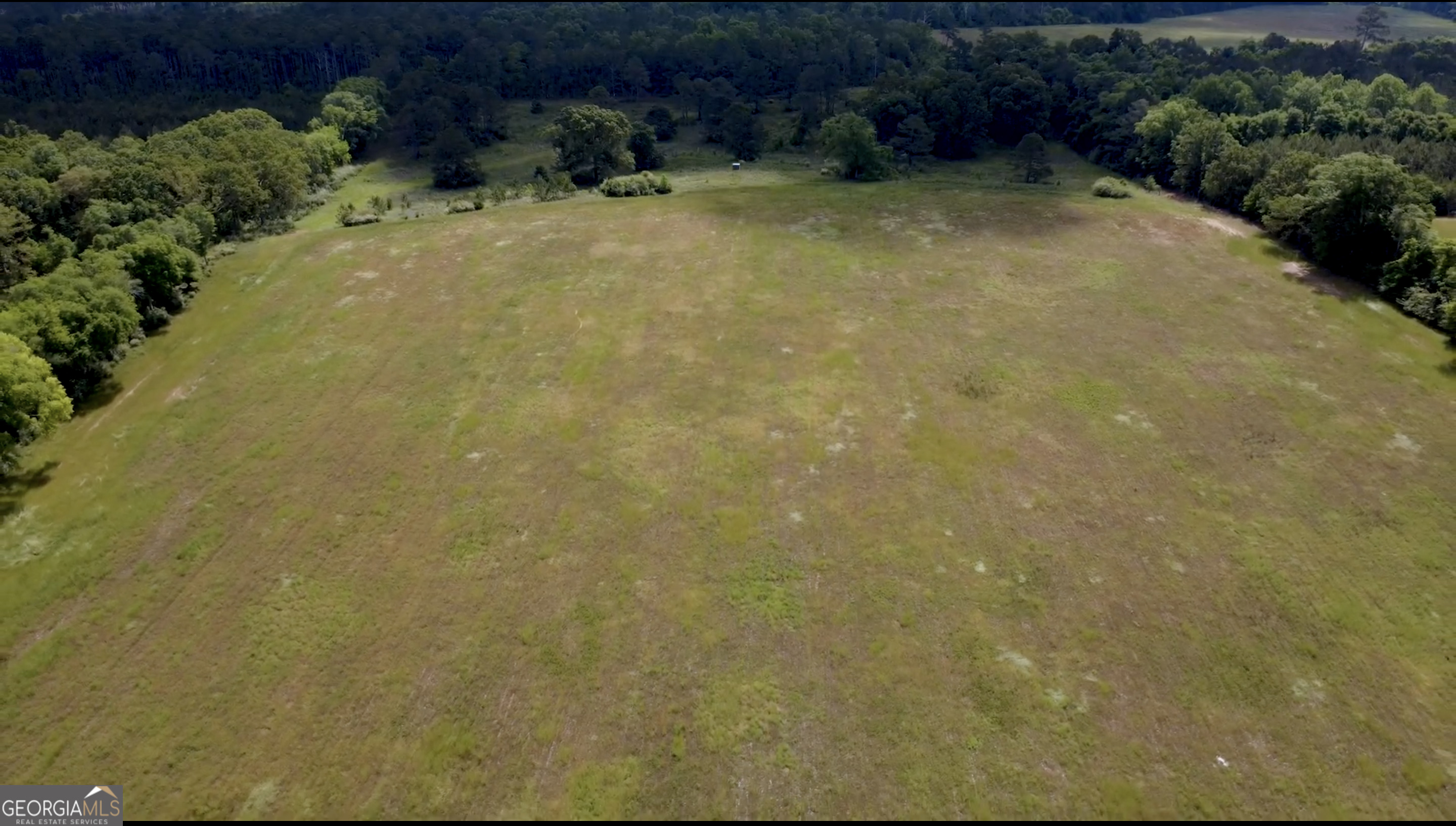 0 District Line Road Cuthbert, GA 39840 - Photo 23 of 26