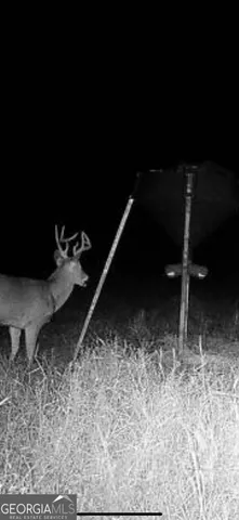 $339,900 | 0 District Line Road, Cuthbert, GA 39840