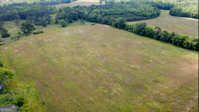 $339,900 | 0 District Line Road, Cuthbert, GA 39840