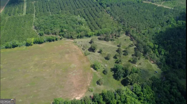 $339,900 | 0 District Line Road, Cuthbert, GA 39840