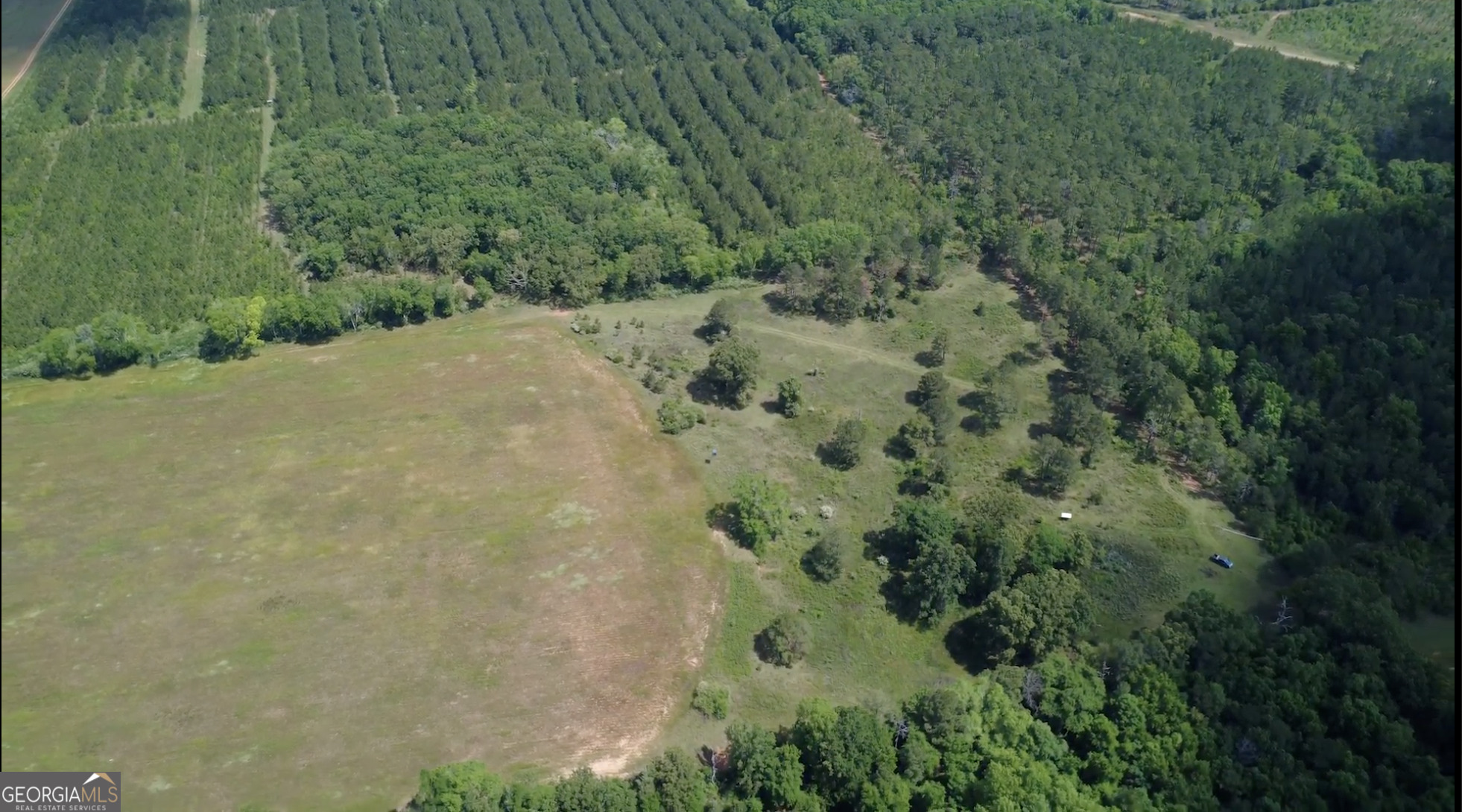 0 District Line Road Cuthbert, GA 39840 - Photo 4 of 26